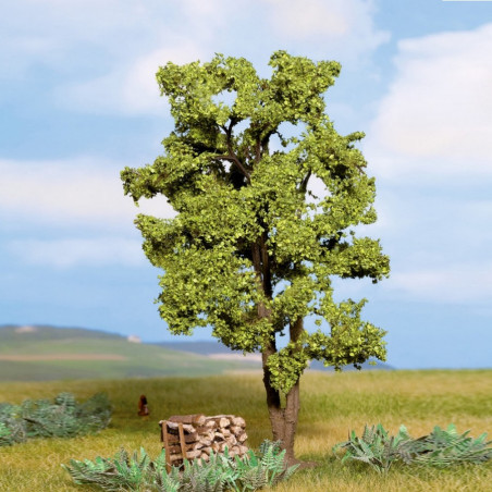 1/87 NOCH ACACIA 15 CM 1