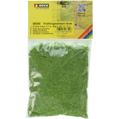 1/87 NOCH HERBES " PRE DE PRINTEMPS " 2.5 MM PAQUET DE 20G