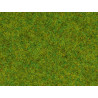 1/87 NOCH HERBES " PRE DE PRINTEMPS " 2.5 MM PAQUET DE 20G 1