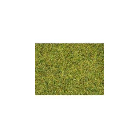 1/87 NOCH HERBES " PRE D ETE " 2.5 MM PAQUET DE 20G 1