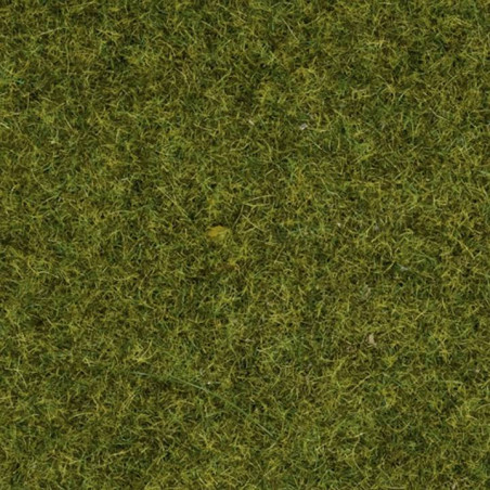 1/87 NOCH HERBES " PRE " 2.5 MM PAQUET DE 20G 1