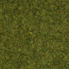 1/87 NOCH HERBES " PRE " 2.5 MM PAQUET DE 20G 1