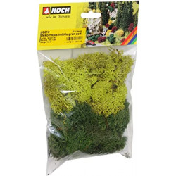 1/87 NOCH LICHEN MOUSSE VERT CLAIR ET FONCE PAQUET DE 35G
