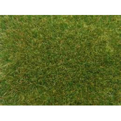 1/87 NOCH HERBES SAUVAGES PRE PAQUET DE 50 G