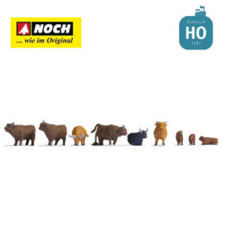 1/87 NOCH ANIMAUX BOVINS ECOSSAIS