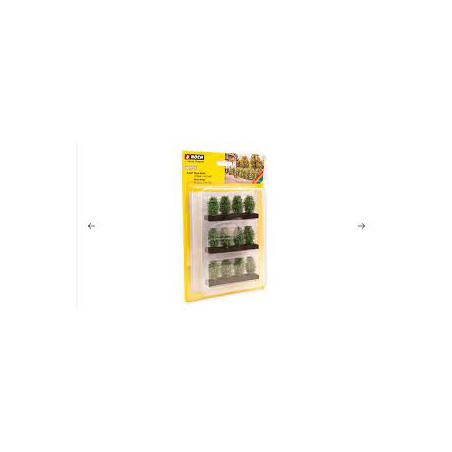 1/87 NOCH  HAIE DE THUYAS 12 PIECES 1