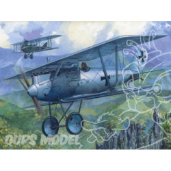 PFALZ D.III 1/72 RODEN