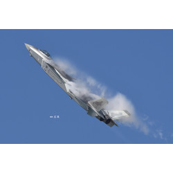 J-20 MIGHTY DRAGON 1/48 TRUMPETER