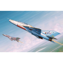MIG-21UM 1/48 TRUMPETER