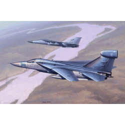 EF-111 RAVEN 1/48 HOBBY BOSS