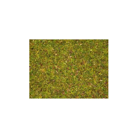 1/87 NOCH HERBES " PRE EN FLEURS " PAQUET DE 20 G 1