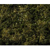 1/87 NOCH HERBES " SOL DE FORET " PAQUET DE 20 G 1