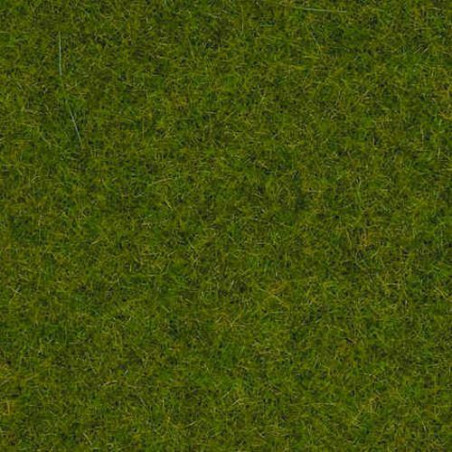 1/87 NOCH HERBES " GAZON D'ORNEMENT " PAQUET DE 20 G 1